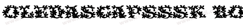 OledaSCapsSSK BoldIt字体转换
